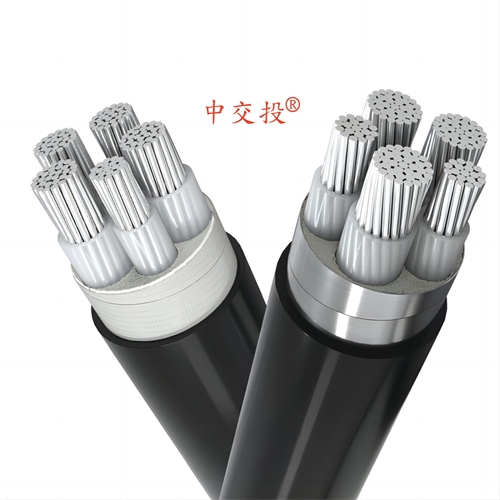 box020.com.cn